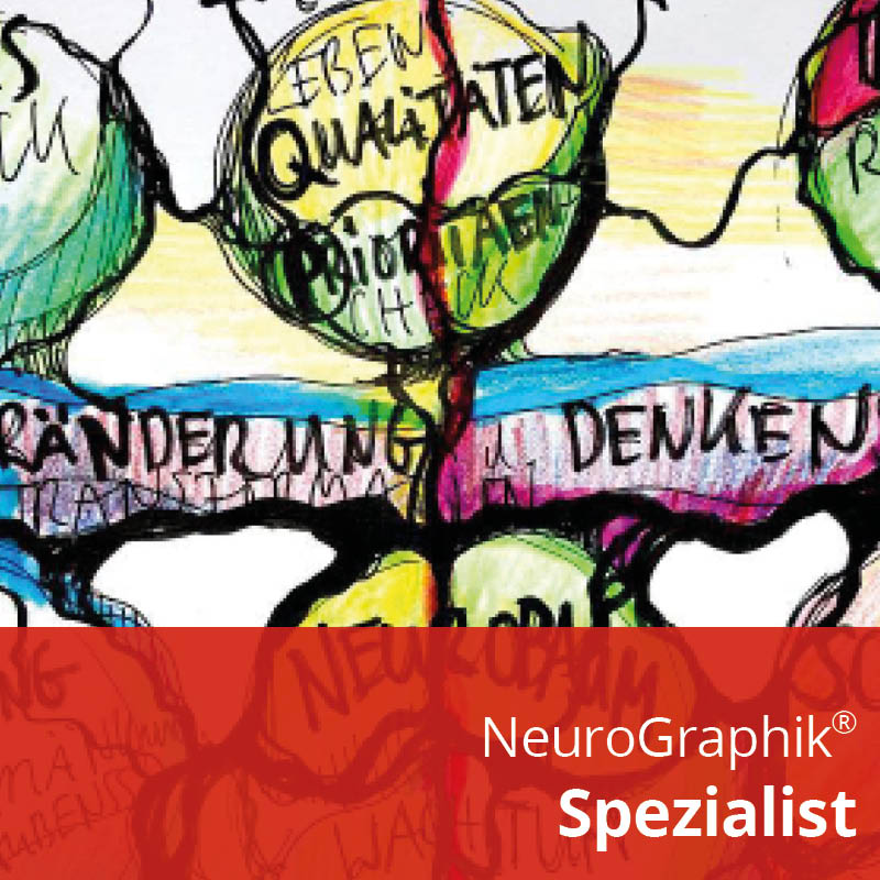 NeuroGraphik® Spezialist