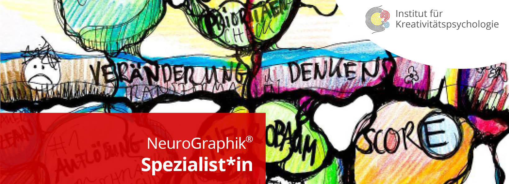 NeuroGraphik Spezialist