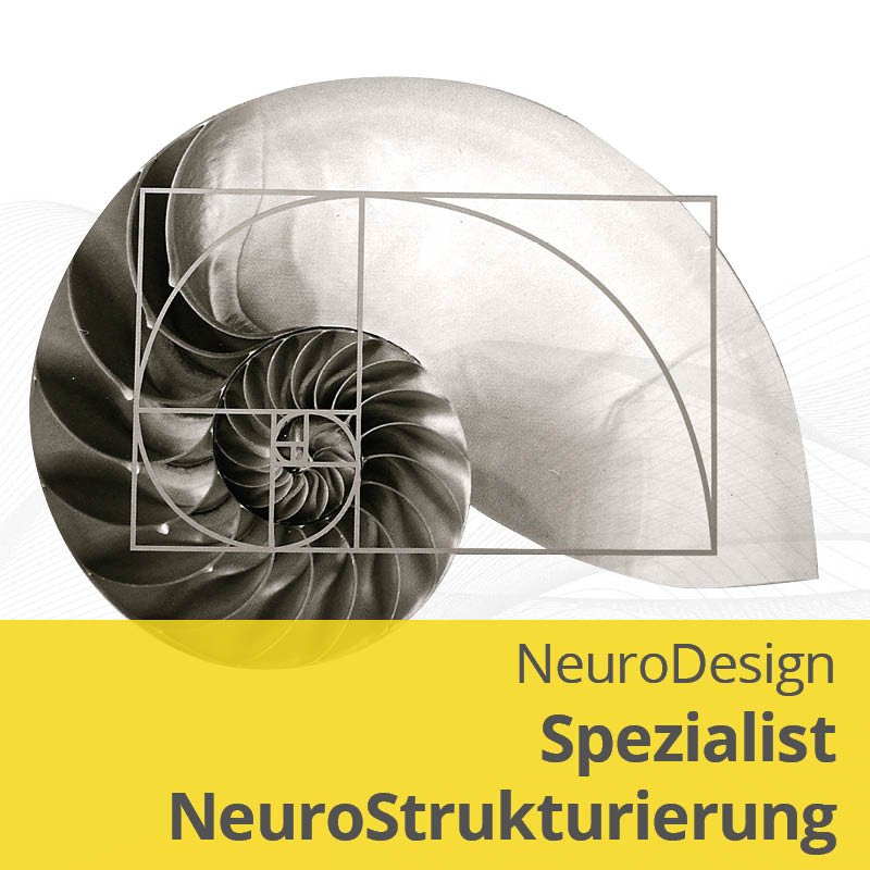 NeuroDesign Spezialist NeuroStrukturierung