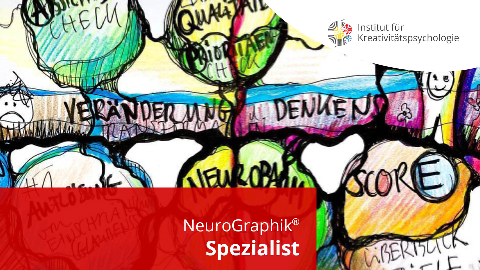 NeuroGraphik Spezialist