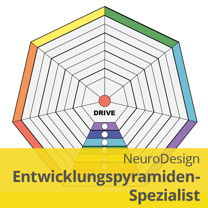 NeuroDesign Entwicklungspyramiden-Spezialist