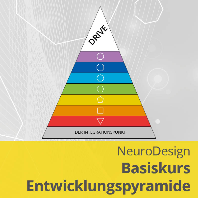 NeuroDesign Basiskurs Entwicklungspyramide