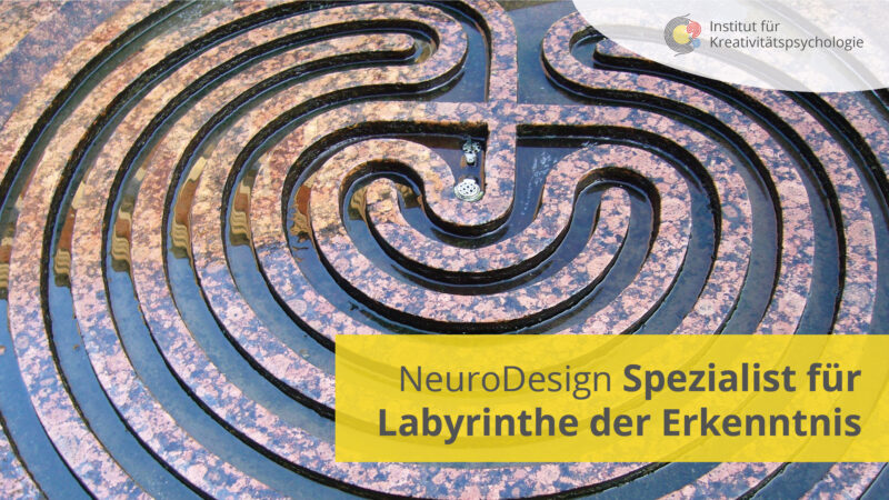 NeuroDesign-Labyrinthe